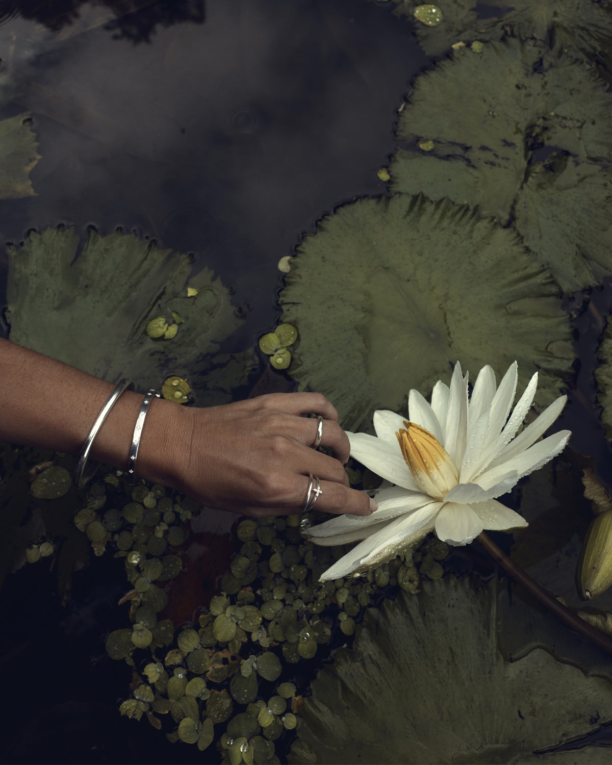 By Charlotte Lover Bangle, Silver