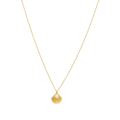 Alana Maria Ula Shell Necklace, Gold