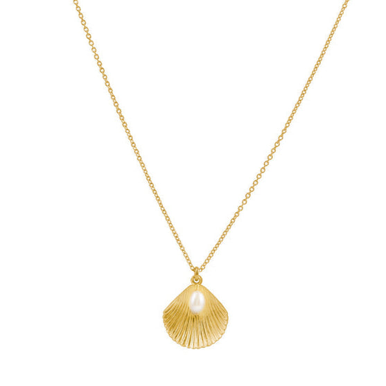 Alana Maria Ula Shell Necklace, Gold
