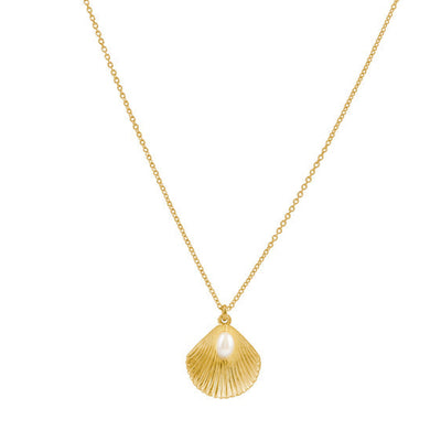 Alana Maria Ula Shell Necklace, Gold