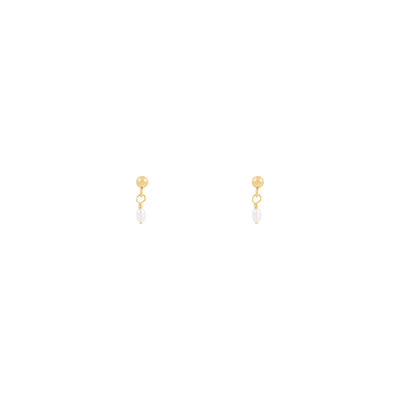Alana Maria Noa Freshwater Pearl Earrings, Gold