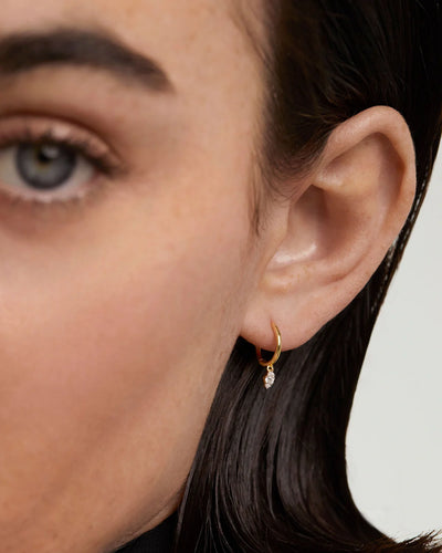 PD Paola Fine 18k Gold Diamond Emi Hoops