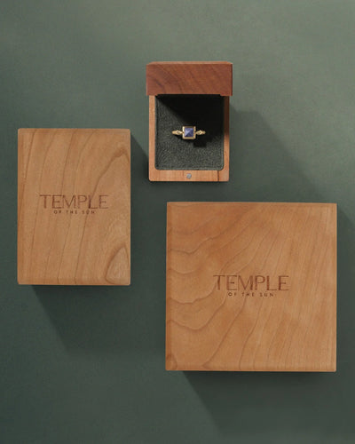Temple of the Sun Solid Gold Alessia Ring